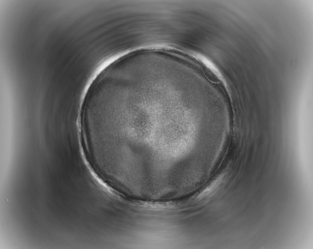 X0000086930951200704301114