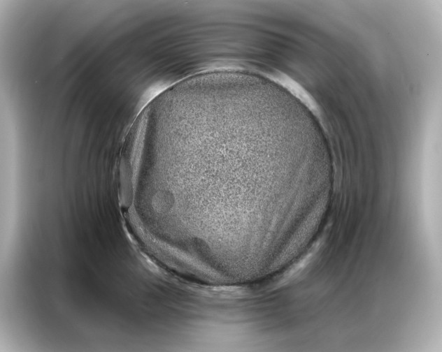 X0000086930953200704301114