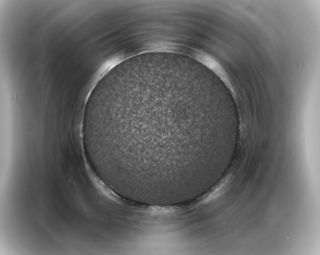 X0000086930954200704301114