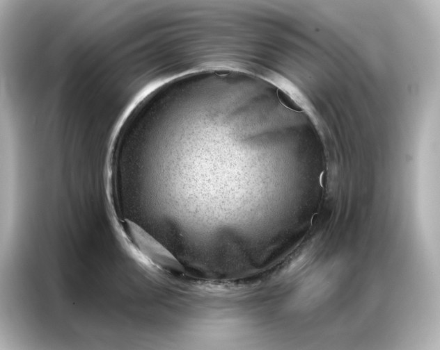 X0000086930955200704301114