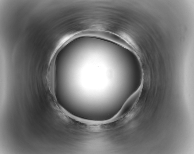 X0000086930956200704301114