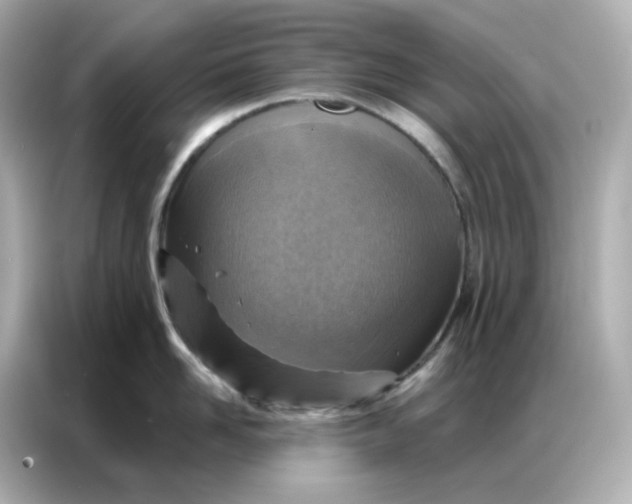 X0000086930958200704301114