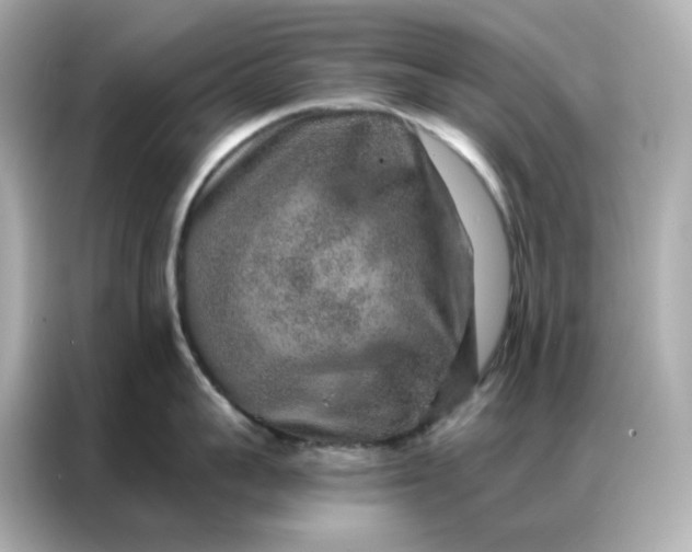 X0000086930959200704301114