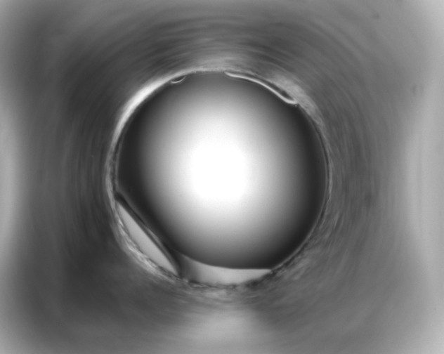 X0000086930960200704301114