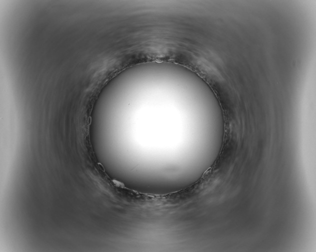 X0000086930961200704301114