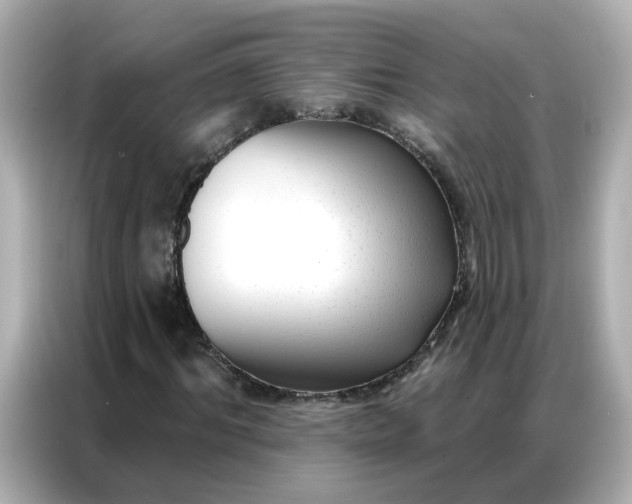 X0000086930964200704301114