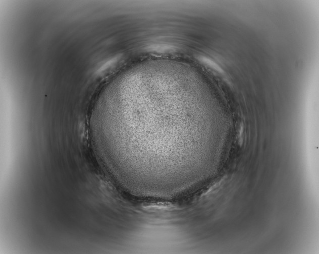 X0000086930966200704301114