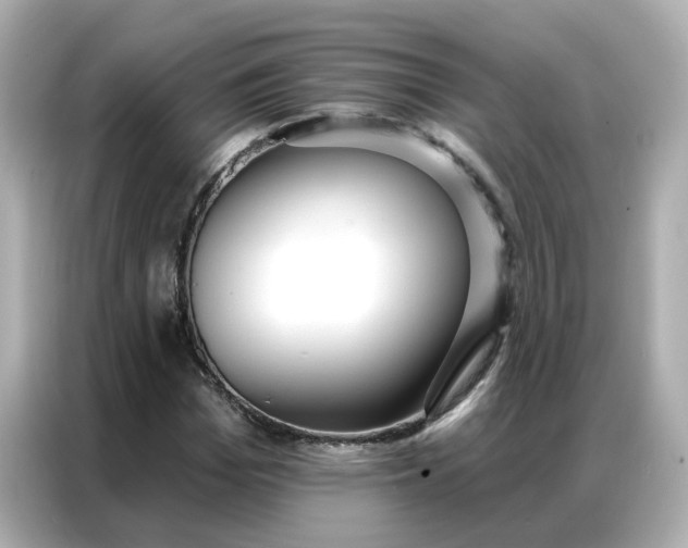 X0000086930969200704301114