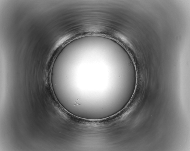 X0000086930970200704301114