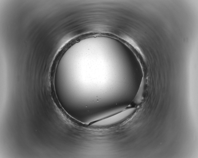 X0000086930972200704301114