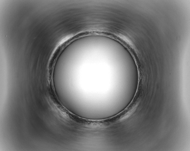 X0000086930974200704301114