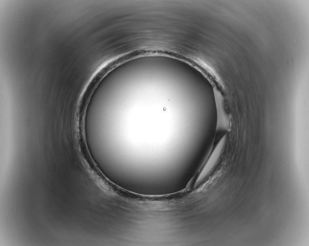 X0000086930976200704301114