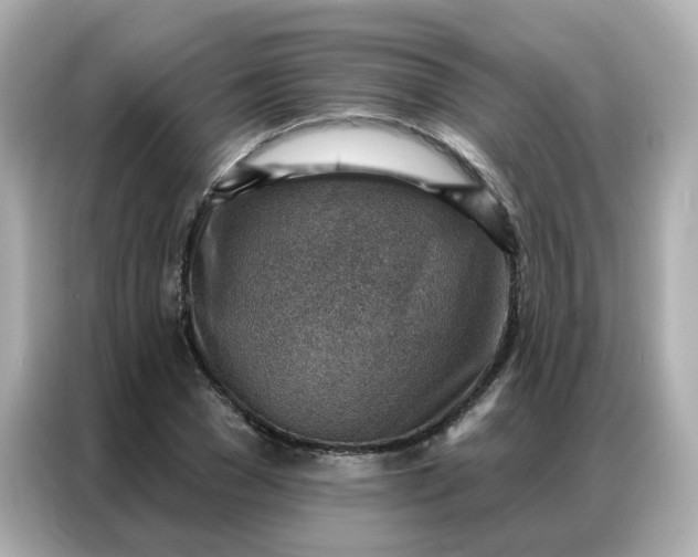 X0000086930977200704301114