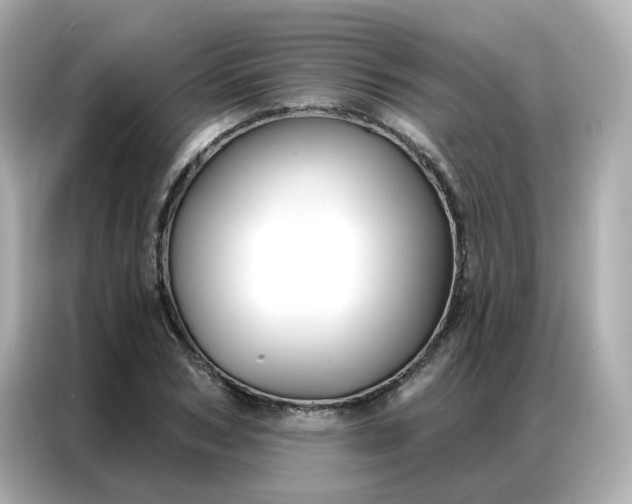 X0000086930978200704301114