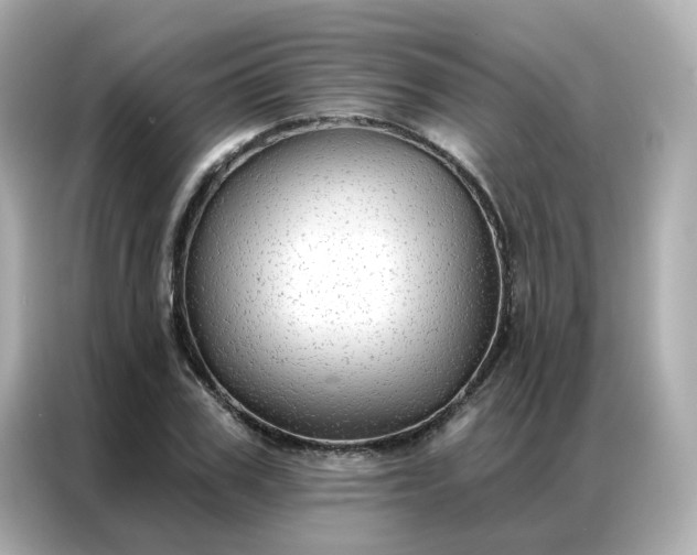 X0000086930979200704301114