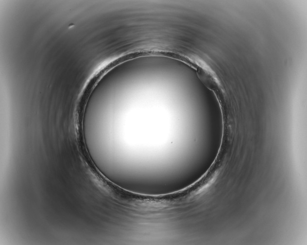 X0000086930981200704301113