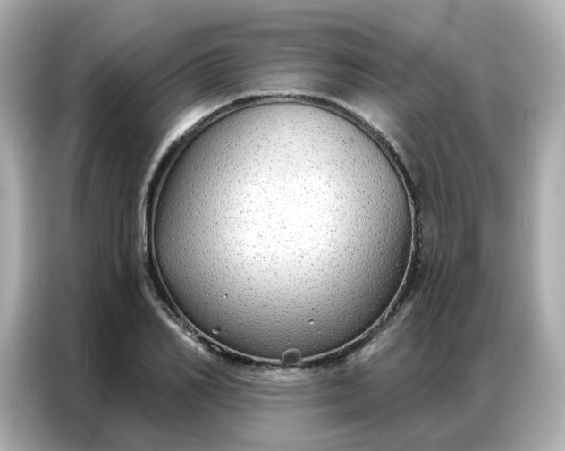 X0000086930982200704301113