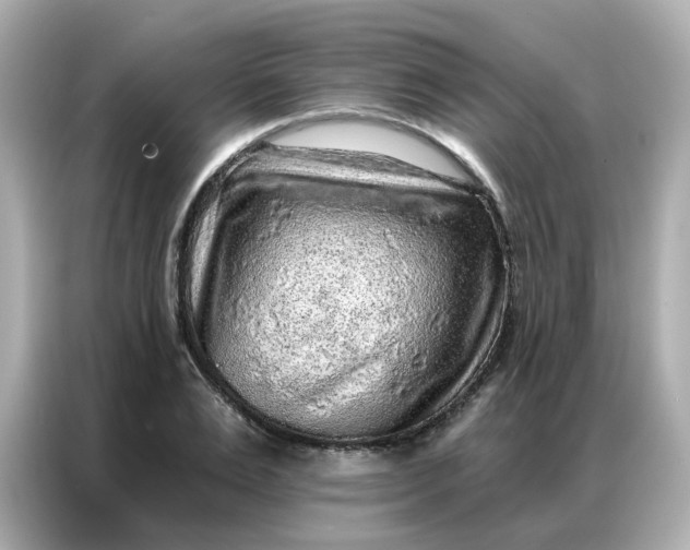 X0000086930983200704301113