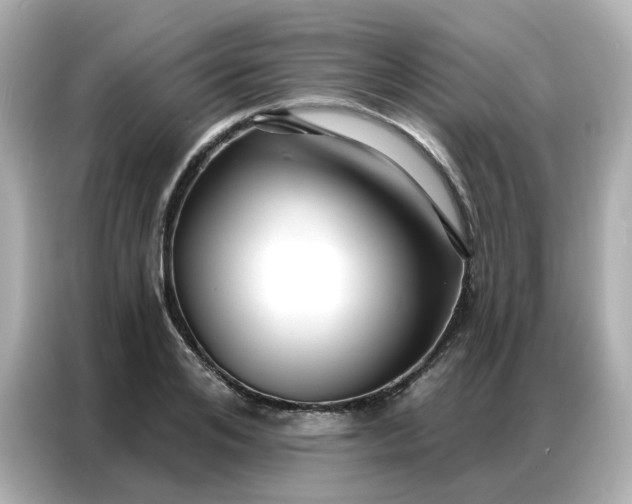 X0000086930984200704301113