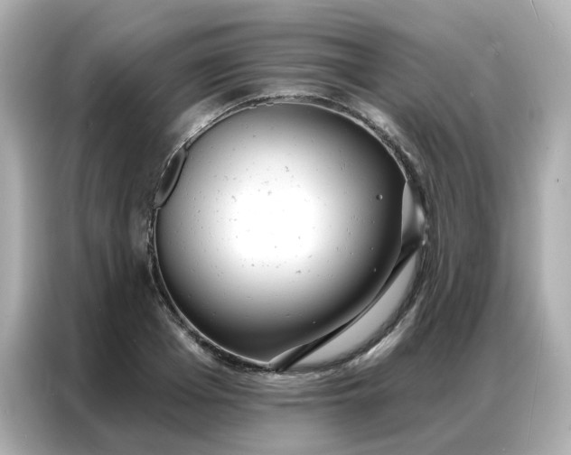 X0000086930985200704301113