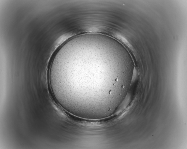 X0000086930986200704301113