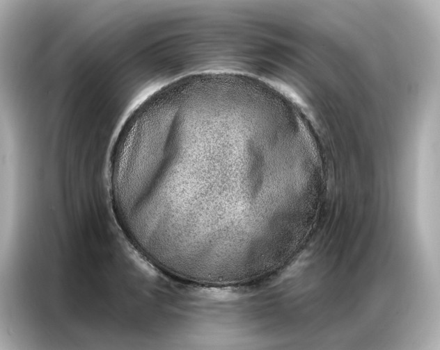 X0000086930990200704301113