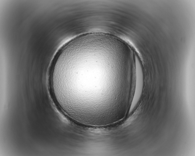 X0000086930991200704301113