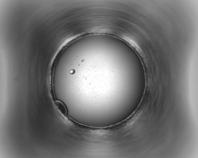 X0000086930992200704301113