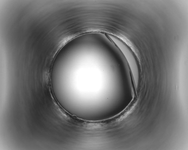 X0000086930993200704301113