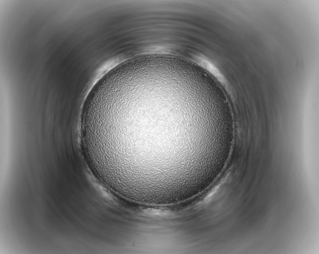 X0000086930994200704301113