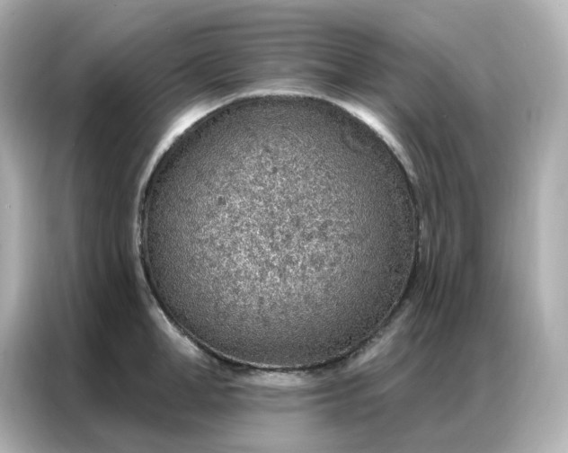 X0000086930998200704301113