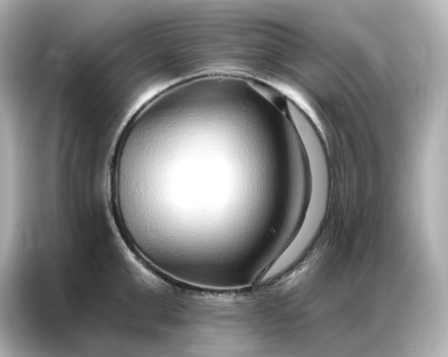 X0000086930999200704301113