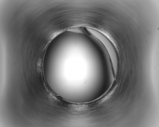 X0000086931001200704301113