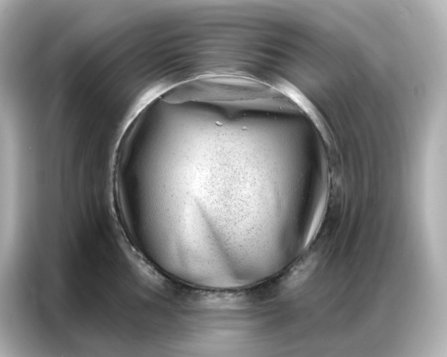 X0000086931002200704301113