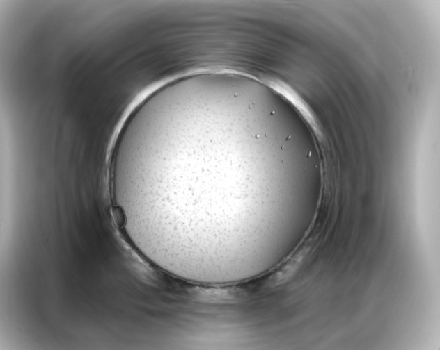 X0000086931004200704301113