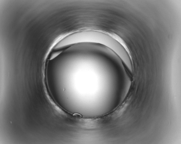 X0000086931005200704301113