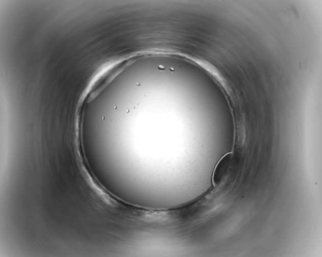 X0000086931006200704301113