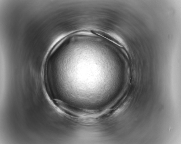 X0000086931007200704301113