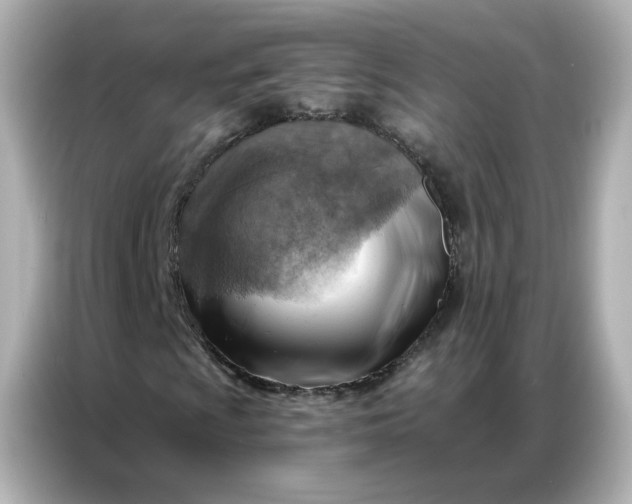 X0000086931009200704301113