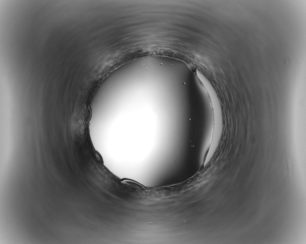 X0000086931012200704301113