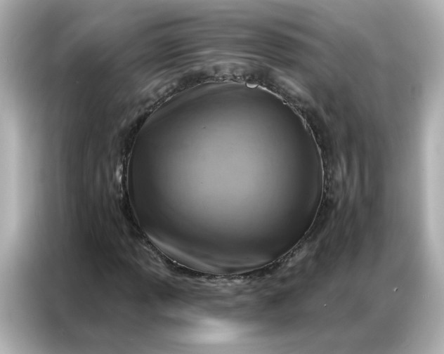 X0000086931013200704301113