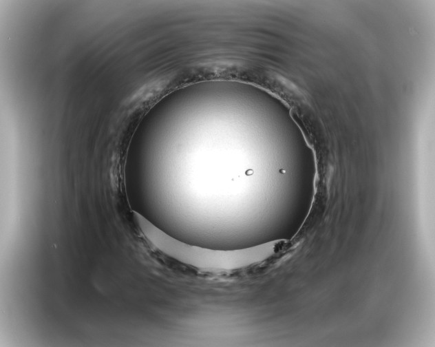 X0000086931014200704301113