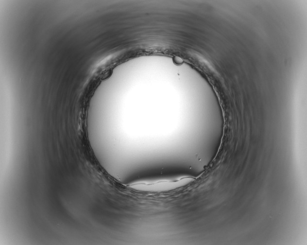 X0000086931016200704301113