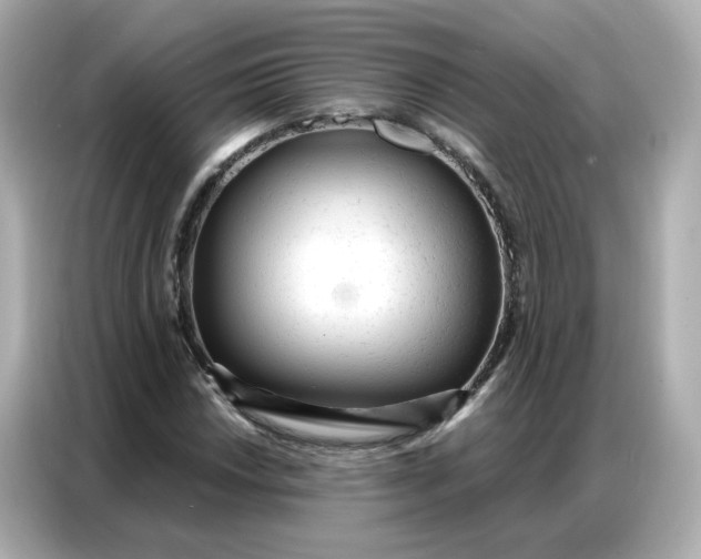 X0000086931018200704301113