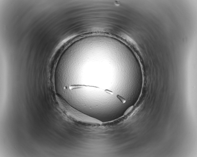 X0000086931019200704301113