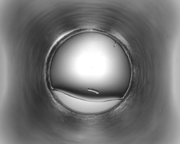 X0000086931020200704301113