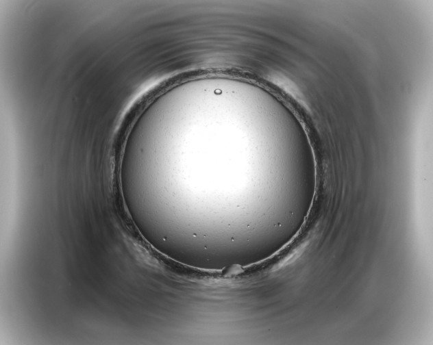 X0000086931021200704301113