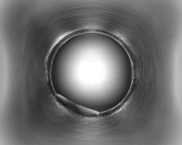 X0000086931022200704301113