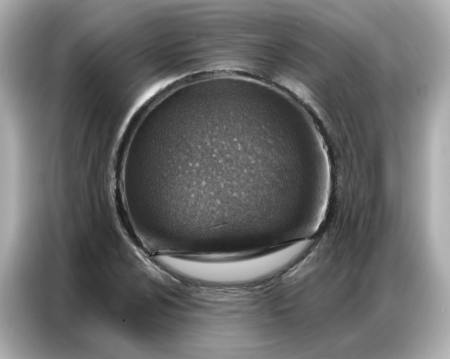 X0000086931024200704301113