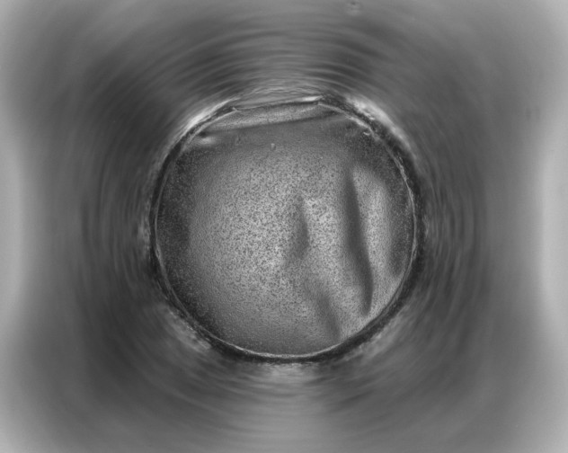 X0000086931025200704301113